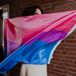 person with bi flag for bi training courses.